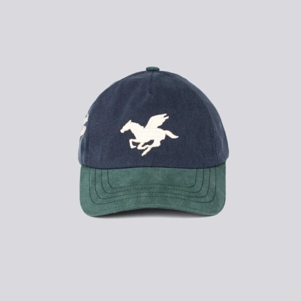 3D PEGASUS WASHED CAP